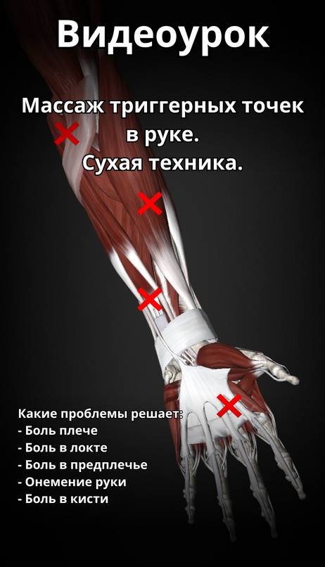 [Артём Пак] Массаж триггерных точек в руке (2024)_0.png